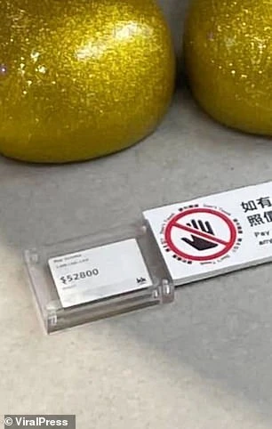 The giant toy had a sign warning customers not to touch it
