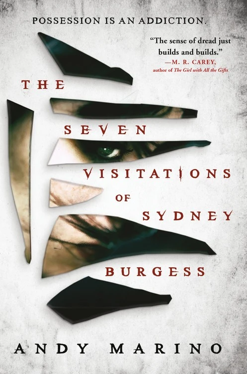 the_seven_visitations_of_sydney_burgess.jpg