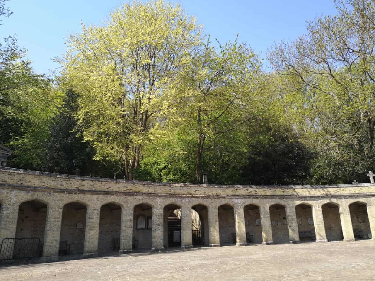 The site in Highgate Cemetery.