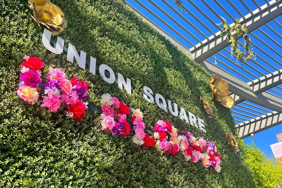 Fun, Free, Cheap: What to Do in San Francisco This Week