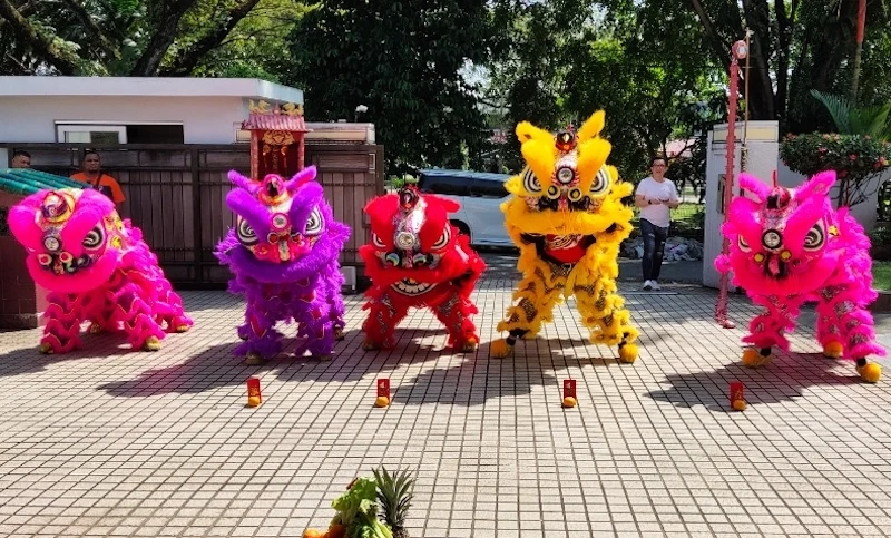 Hong said many dancers on the team have ventured into other freelance jobs after being unable to work as full-time dancers during the shutdowns.  – Photo via Calvin Hong Weir Hahn