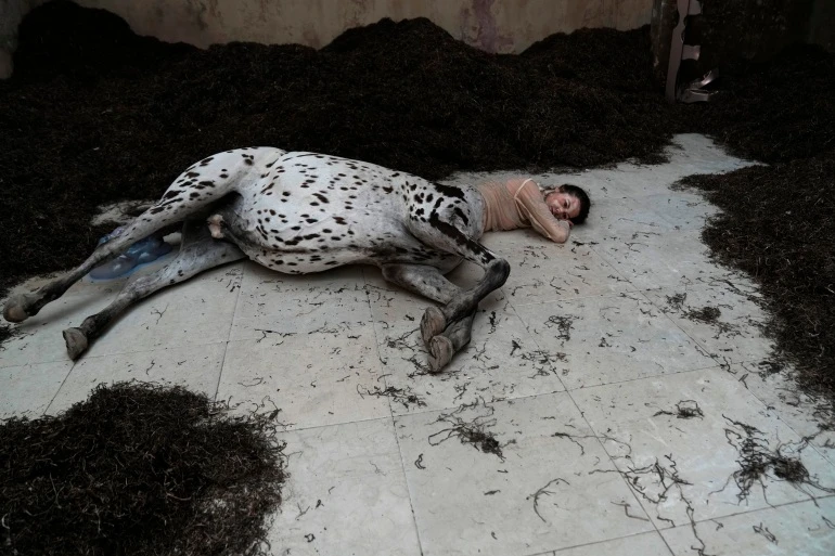 Invited to the Venice Biennale in Italy